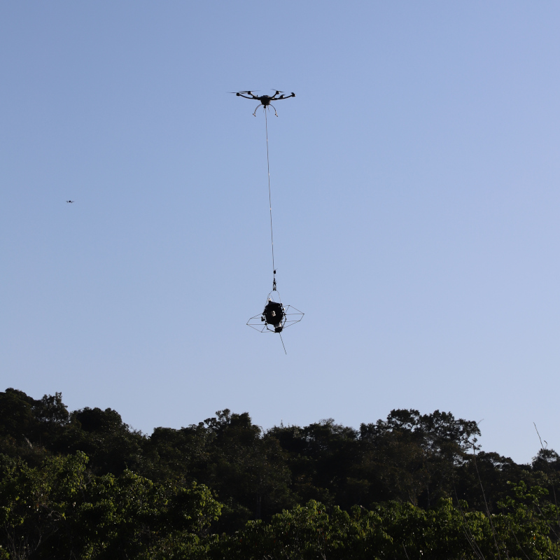 A drone lowers an automated blacklight trap into the canopy in the Amazon rainforest