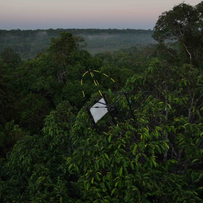 An automated blacklight trap sampling insects in the canopy of the Brazilian Amazon